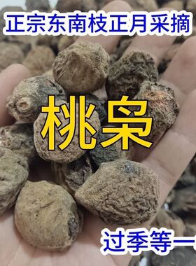 野生毛桃核东南枝树上摘果真正的桃枭原皮恋枝桃桃奴正月桃枭正宗