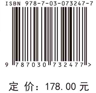 毫米波合成孔径雷达技术 王辉 亳米波频段应用毫米波SAR前沿体制信号处理与信息应用技术研究进展成像技术超高分辨率滑动聚束