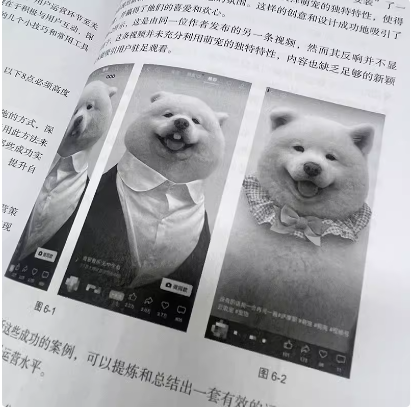 微信视频号从小白到高手 内容创作 短视频运营 直播引流 商业应用 赠送剪辑视频课程 微信视频号流程一本通 自媒体流量营销参考书