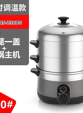 全民电蒸锅不锈钢多功能定时调温