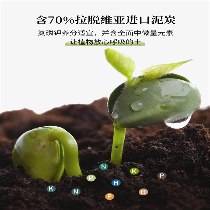 营养土通用型60斤养花种菜土土壤多肉绿萝种植土有机花土泥土肥料 - 图1