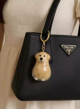 防尘毛球拉布拉多狗狗钥匙扣潮流包挂件狗毛收集吊坠小众收集小狗