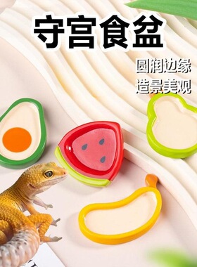 水盆守宫碟钙粉喂食造景用品蜥蜴爬宠专用豹纹小号食盆睫角果泥