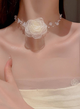 颈链锁骨链女花朵珍珠choker颈链设计感项链超仙小众法式