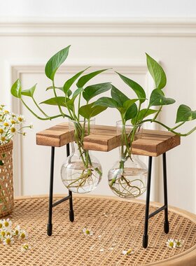 双瓶玻璃水培木架桌面花器