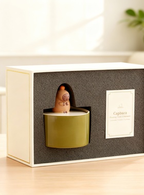 Capbara陶瓷小熊装饰摆件礼盒