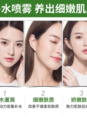 30ML马鞭草酮迷迭香纯露改善毛孔