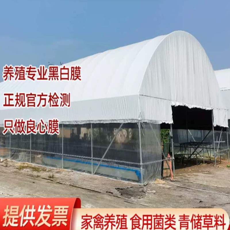 仿真膜蔬菜养殖农用物资塑料布养鸡速递园艺创业合作社池塘保温?-图0