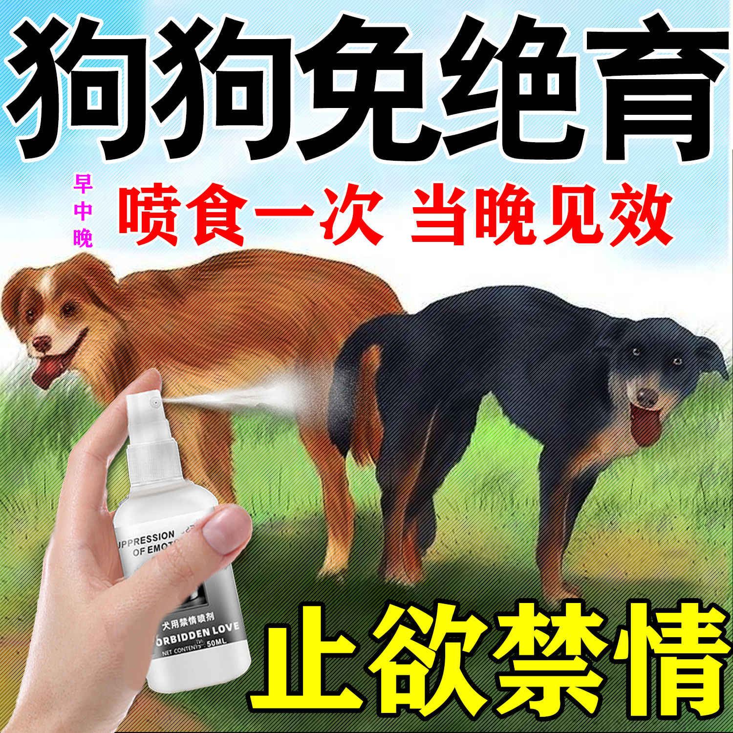 狗禁止 新人首单立减十元 22年3月 淘宝海外