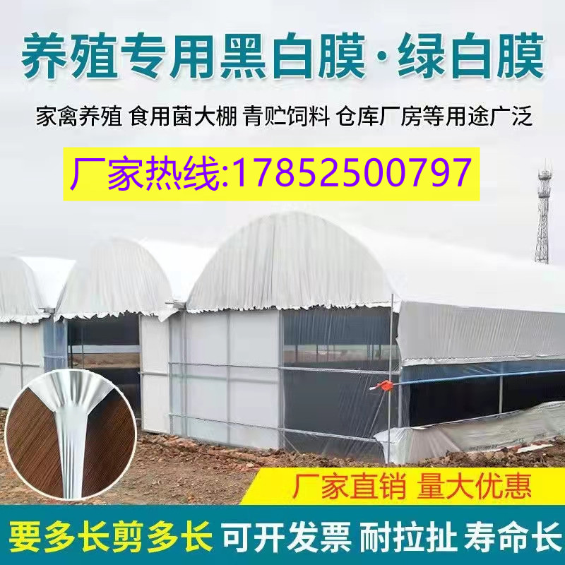 加厚抗老化全新料长寿大棚膜无滴膜高透光PO膜养殖黑白膜塑料布