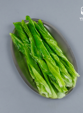 仿真火锅菜千层肚模型仿真牛肉卷