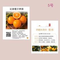 Navel Orange Zika Tablet Set For Fruit Edible Brochure Custom Orange Jelly Orange Thanks Card Design Print LH