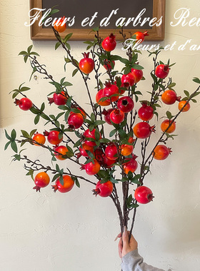 新年装饰年宵花餐桌花艺发财果石榴仿真花果实假花摄影拍摄道具