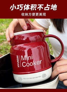 养生炖煮杯办公室小型精致煮茶器