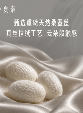 夏秦100%真丝拉绒秋冬保暖围巾