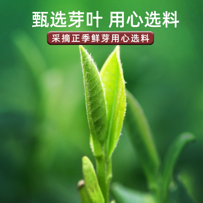 绿茶2023年新茶恩施硒茶叶高山云雾春茶日照充足浓香型袋装100g