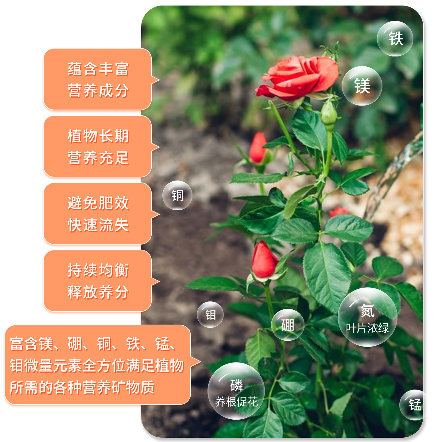 施多乐家用绿植花卉缓释肥颗粒通用型蝴蝶兰花多肉氮磷钾控释肥,淘宝优惠券,粉丝福利购,淘宝优惠卷