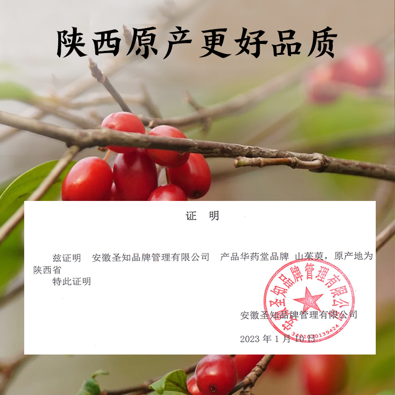 山茱萸山萸肉中葯材泡茶正品搭覆盆子沙苑子代茶饮非野生泡水组合 - 图3