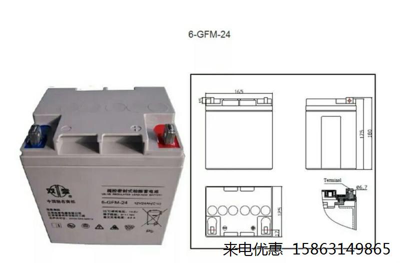 双登蓄电池6-GFM-100 12V24AH直流-图1