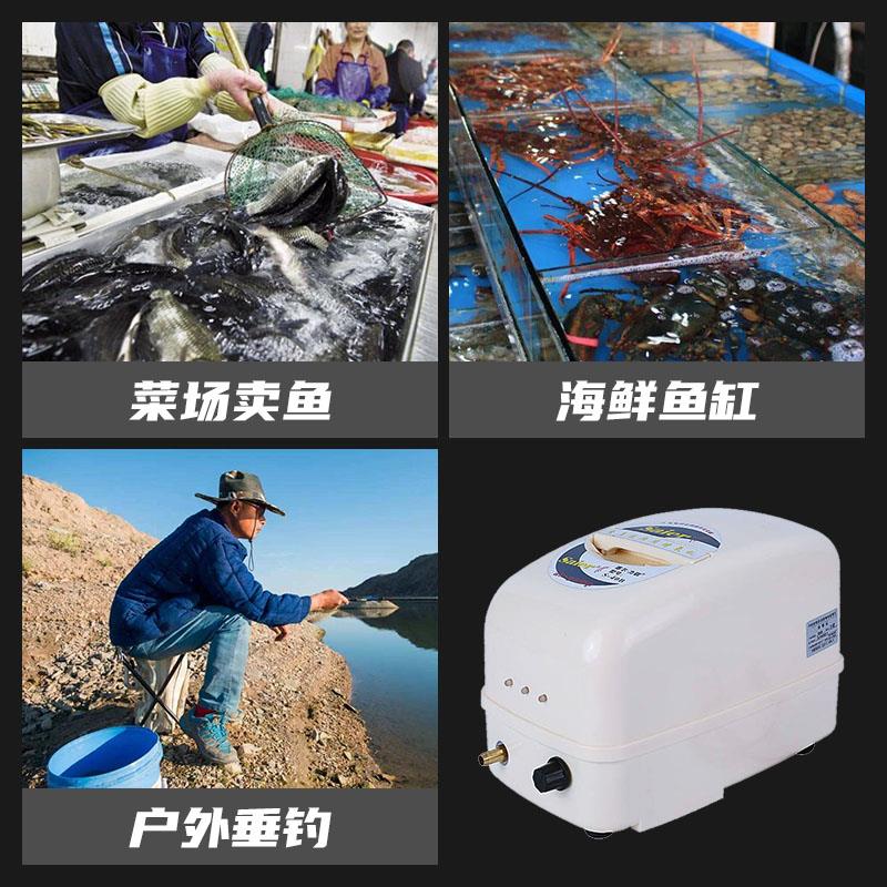 赛尔增氧机交直流充电两用氧气泵养鱼充氧泵钓鱼增氧泵卖鱼可携式 - 图3