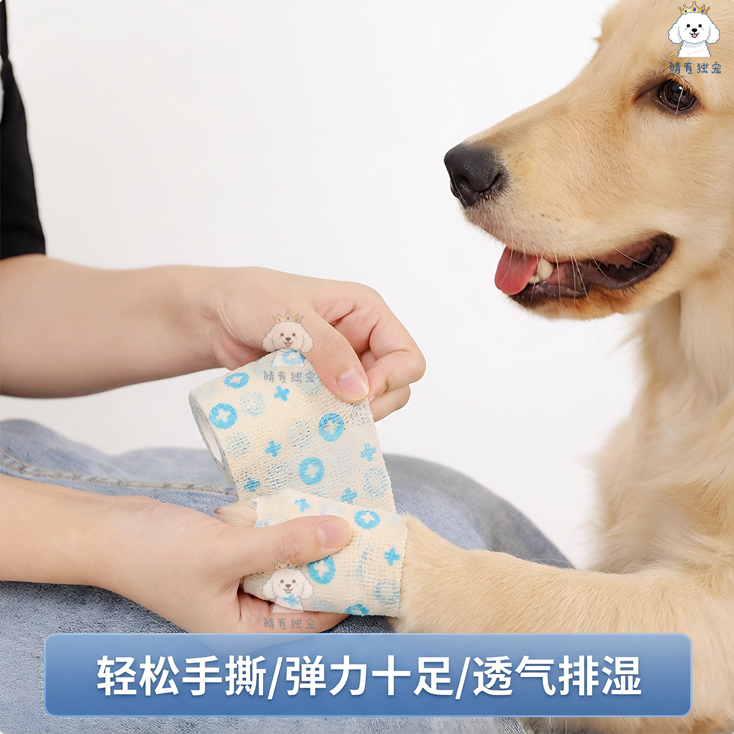 宠物弹力透气绷带母狗绝育神器医用术后康复断奶防舔母猫护肚衣服,淘宝优惠券,粉丝福利购,淘宝优惠卷