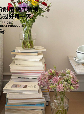北欧大口玻璃花瓶透明客厅摆件