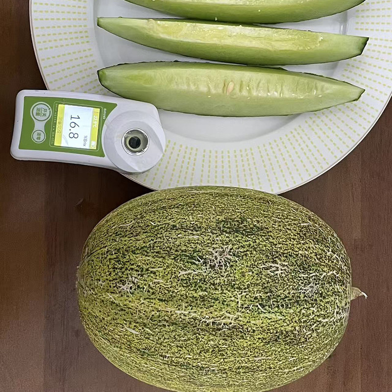 海南青帝蜜瓜倾帝网纹瓜脆甜香甜多汁新鲜应季水果哈密瓜产地直发,淘宝优惠券,粉丝福利购,淘宝优惠卷