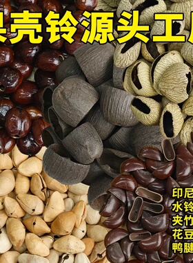 天然果壳手摇铃diy 原料印尼黑果夹竹桃水铃桐鸭腱藤果壳风铃材料