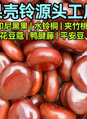 印尼黑果天然果壳风铃