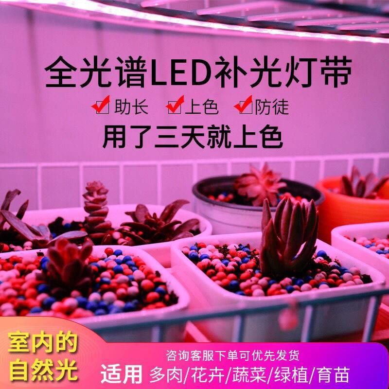 LED多肉补光灯全光谱家用室内上色补光灯带仿太阳日照植物生长灯