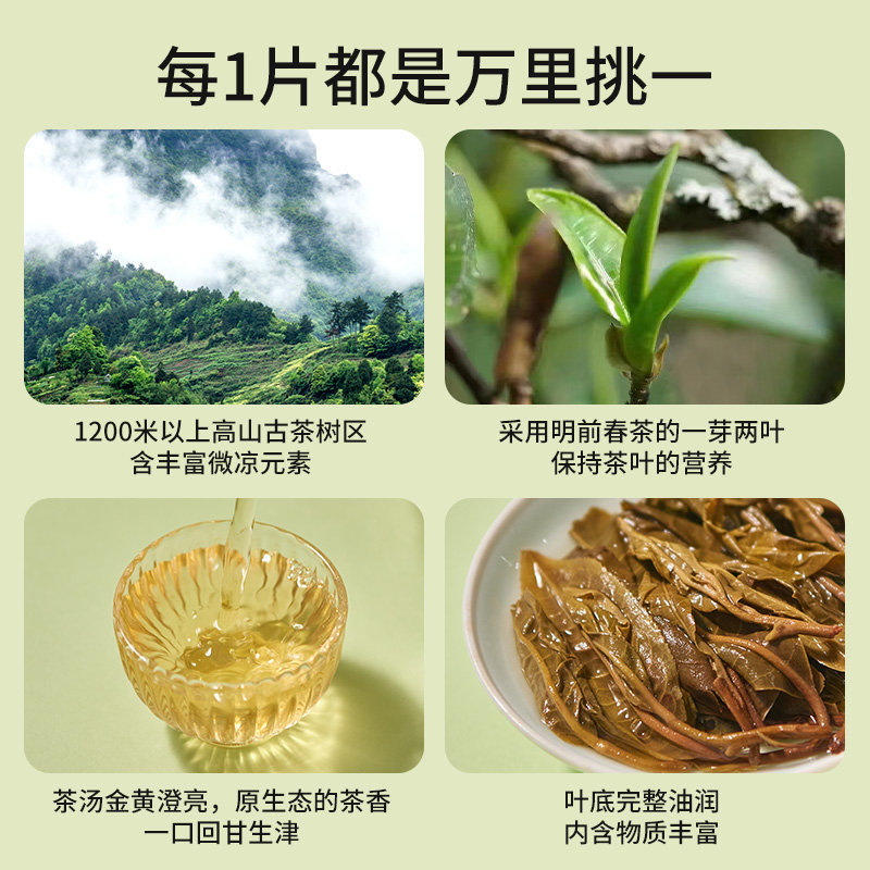 冰岛普洱生茶茶饼古树茶特级云南茶叶礼盒装生普生普洱茶小包装