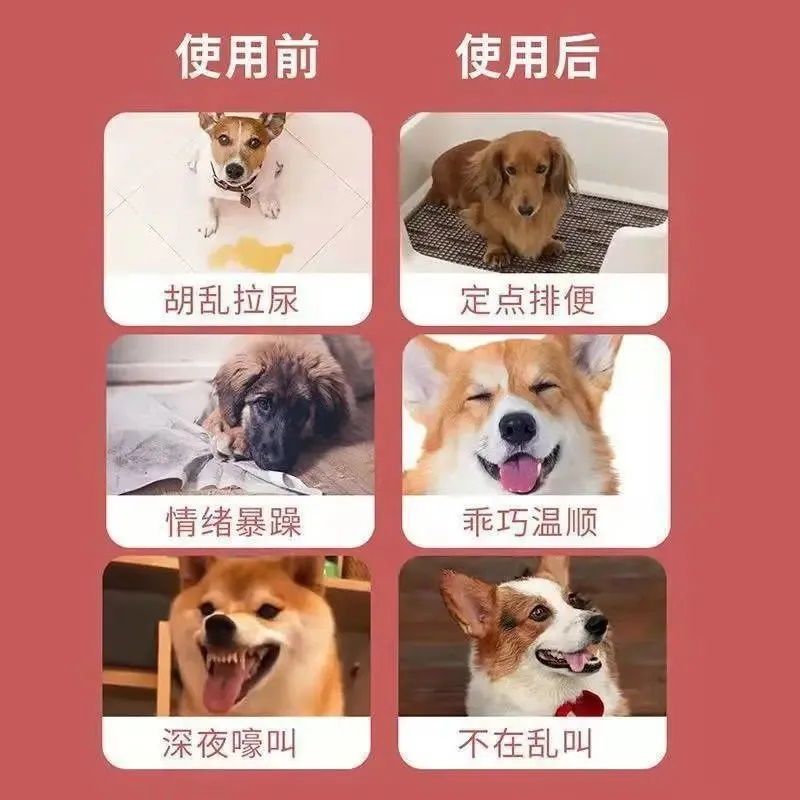 狗狗绝育 永久性犬用禁情液狗用品大全宠物用品防止狗发情乱爬 - 图3