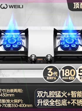 WL212DJ煤气灶双灶嵌入式家用天然气灶台式燃气灶液化气灶具