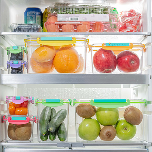 bringeco保鲜盒食品级Tritan塑料密封水果便当宠物猫粮狗粮密封罐 - 图2