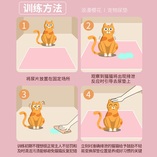 宠物尿垫猫咪用垫子一次性专用母猫生产褥隔尿垫航空箱狗狗护理垫 - 图3