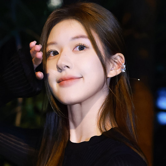 Metal flower ear clip women's pierced ear bone clip earrings