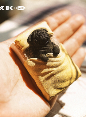 JXKsmall单身巴哥盖被子的巴哥