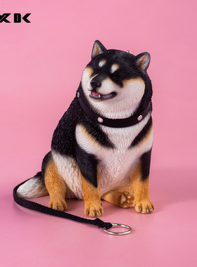 jxk1/6肥柴动物模型仿真可爱