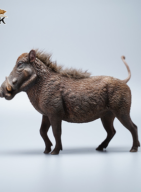 狮子王的小伙伴仿真动物模型