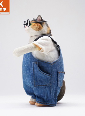 JXK1/6肥猫2.0仿真动物模型