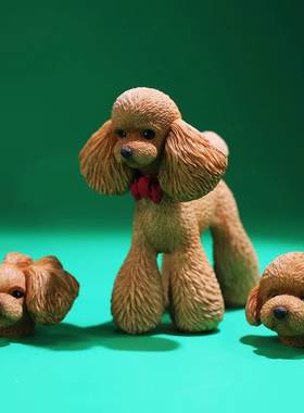 泰迪贵宾犬仿真模型宠物狗mrz