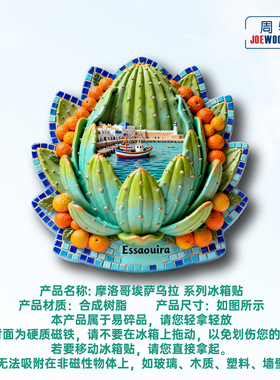 摩洛哥埃萨乌拉多肉橘子冰箱贴立体磁性贴旅行伴手礼礼物家居