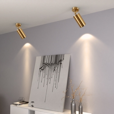 射灯北欧金色明装家用天花筒灯墙壁衣帽间服装店铺商用轨m道灯