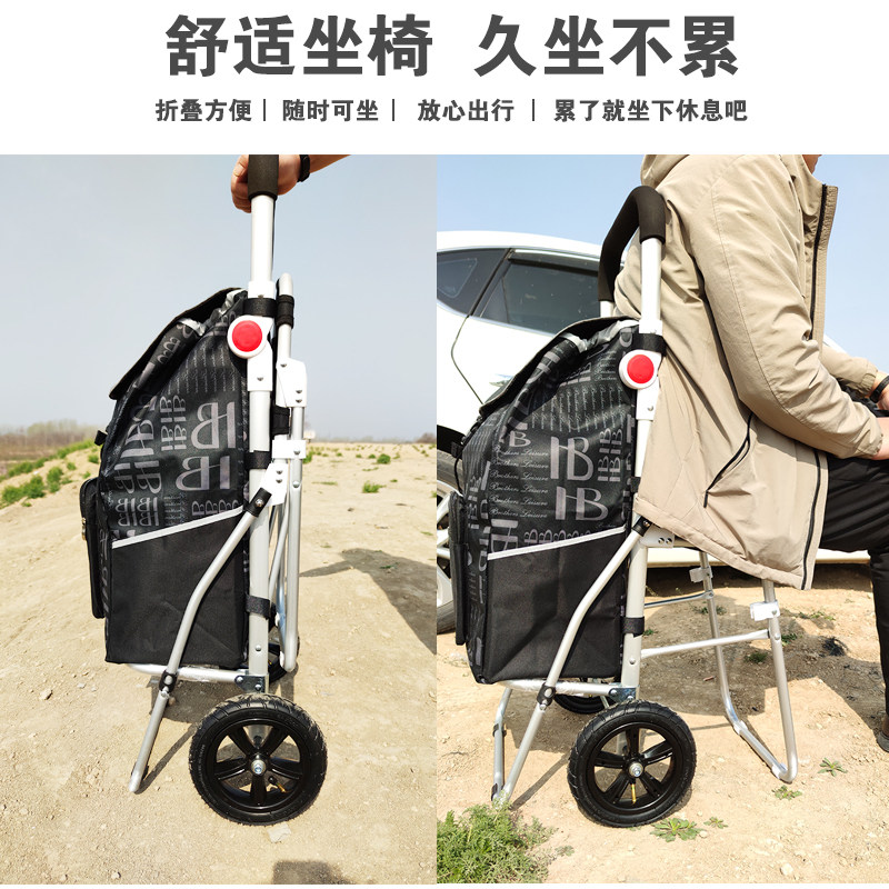 充气轮买菜车小拉车推车折叠便携购物车野外防震有凳可坐手拉拖车,淘宝优惠券,粉丝福利购,淘宝优惠卷