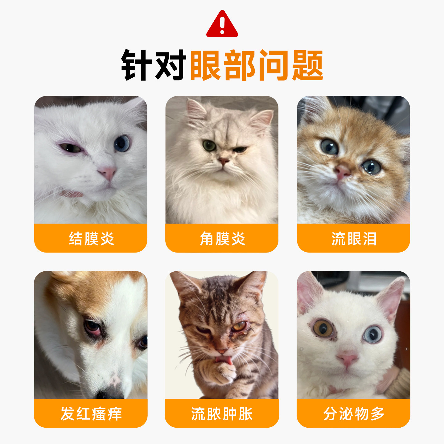 硫酸新霉素宠物滴眼液宠物狗狗猫咪眼药水发炎流泪润康滴眼液警犬
