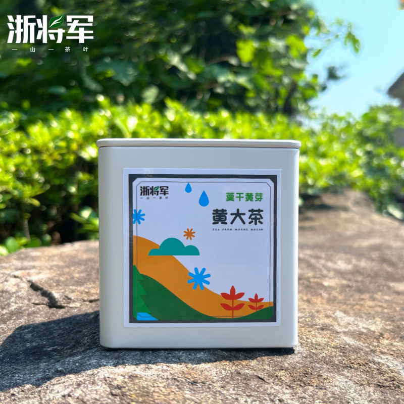 浙将军 莫干黄芽高山黄茶莫干山黄大茶浙江特产茶叶小罐装茶叶50g