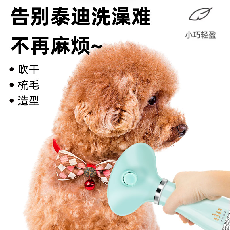 贵宾泰迪狗狗吹毛拉毛造型梳宠物小型犬洗澡专用吹风机梳烘干神器