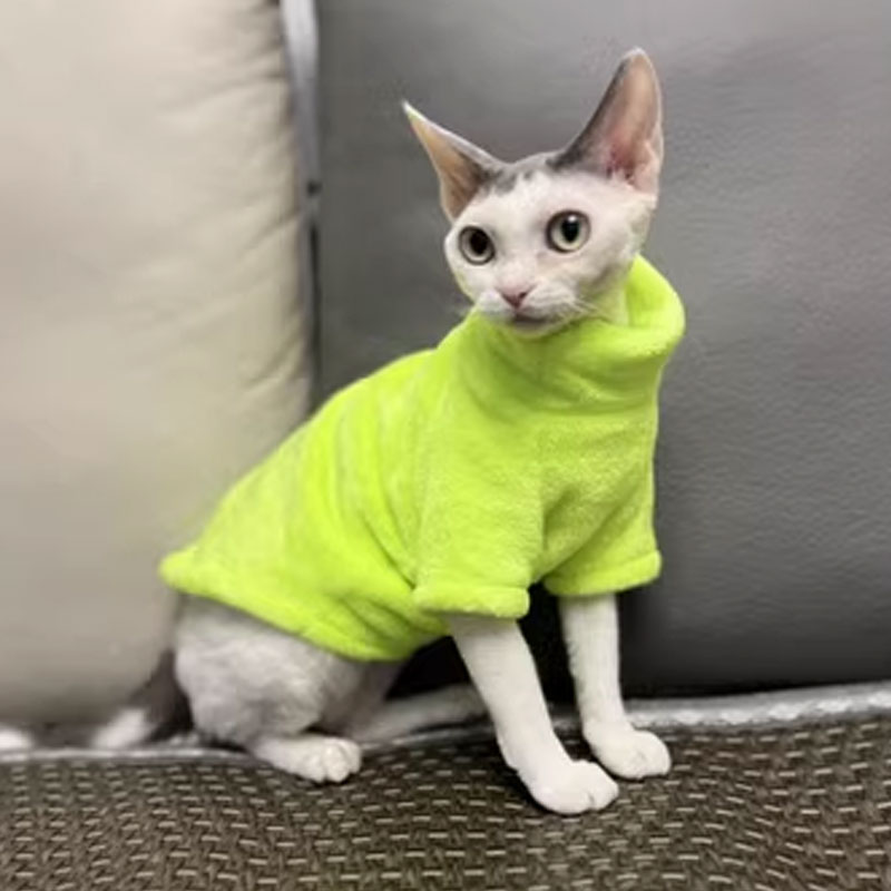 2024年秋冬加厚德文猫衣服无毛猫斯芬克斯冬季保暖加厚耐舔好穿
