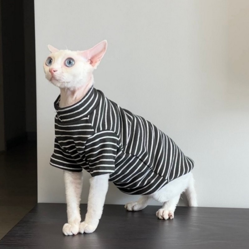 德文衣服冬天专用保暖舒适无毛猫卷毛猫幼猫过冬2024新款猫咪衣服