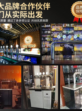 啤酒机扎生鲜商用风冷全自动